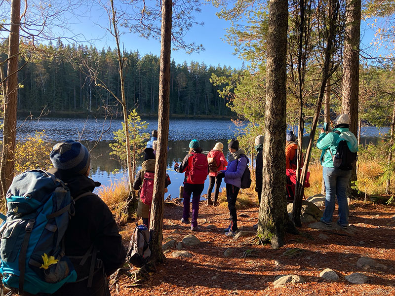 Positive-Education-Finland-img-25