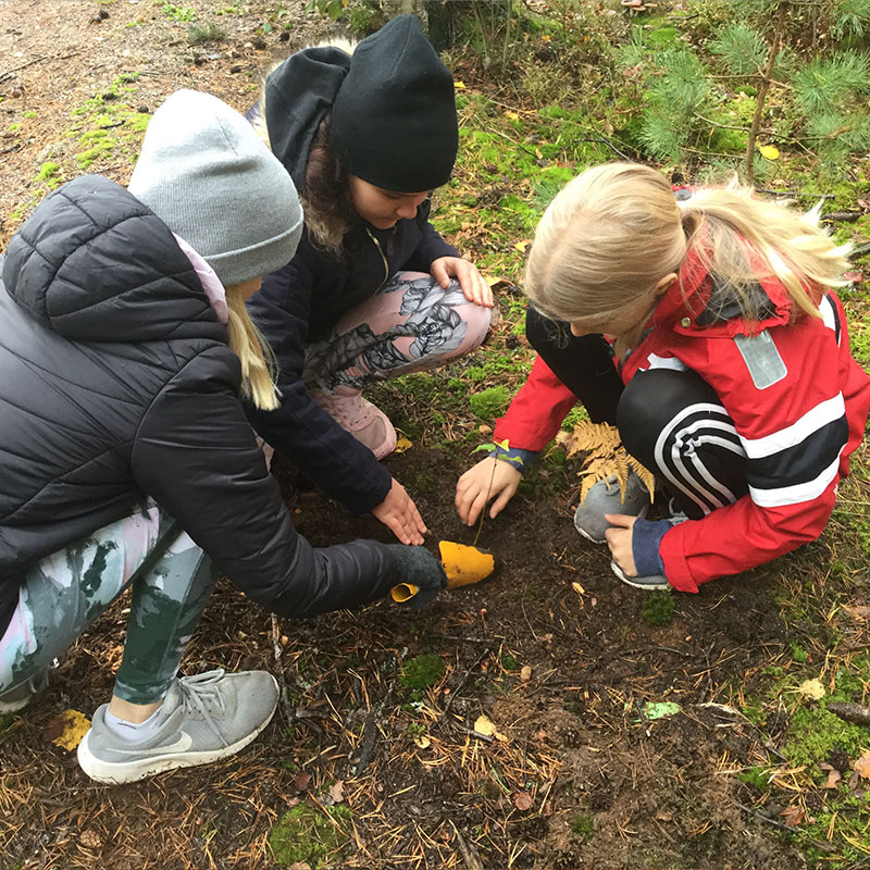 Positive-Education-Finland-img-44